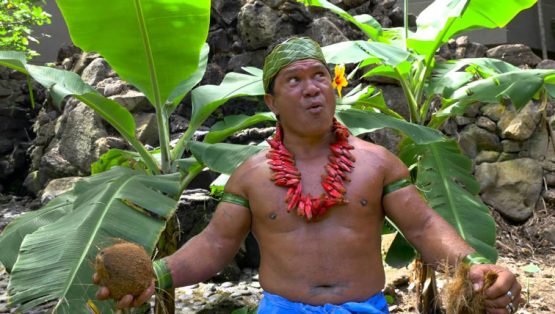 How To Husk A Coconut The Samoan Way – Pepe's How Tos