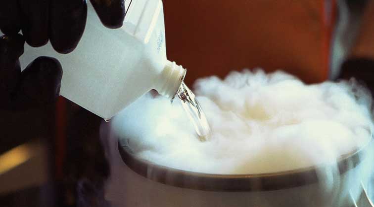 How To Make Anything Brittle With Homemade Cryo-Fluid
