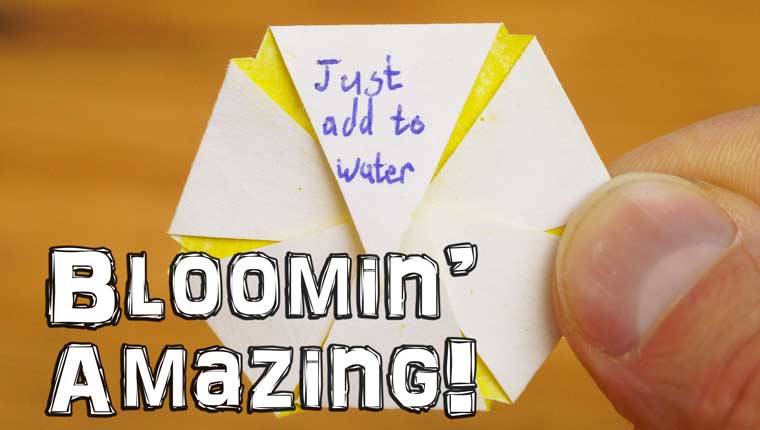 How To Make Blooming Paper Flowers
